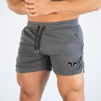 Summer Fitness Shorts