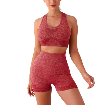 2-Piece Seamless Yoga Set