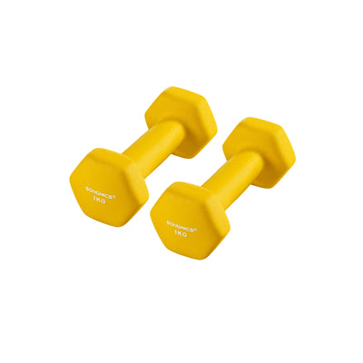 Hexagon Neoprene Dumbbells